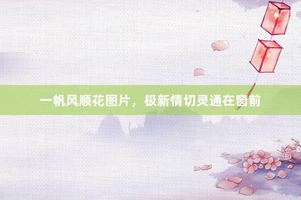 一帆风顺花图片，极新情切灵通在窗前