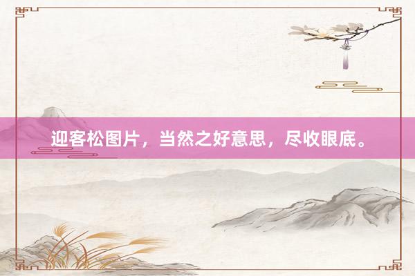 迎客松图片，当然之好意思，尽收眼底。