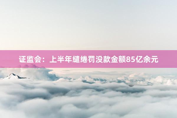 证监会：上半年缱绻罚没款金额85亿余元