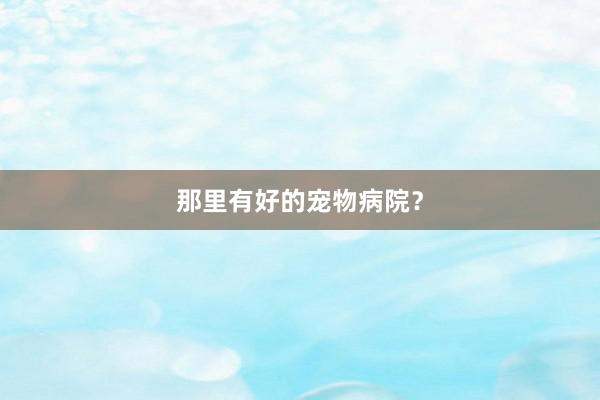 那里有好的宠物病院？